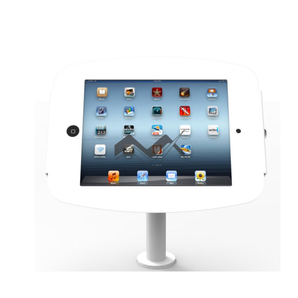 Pole-mounted iPad Enclosure Kiosk (for iPad Mini)