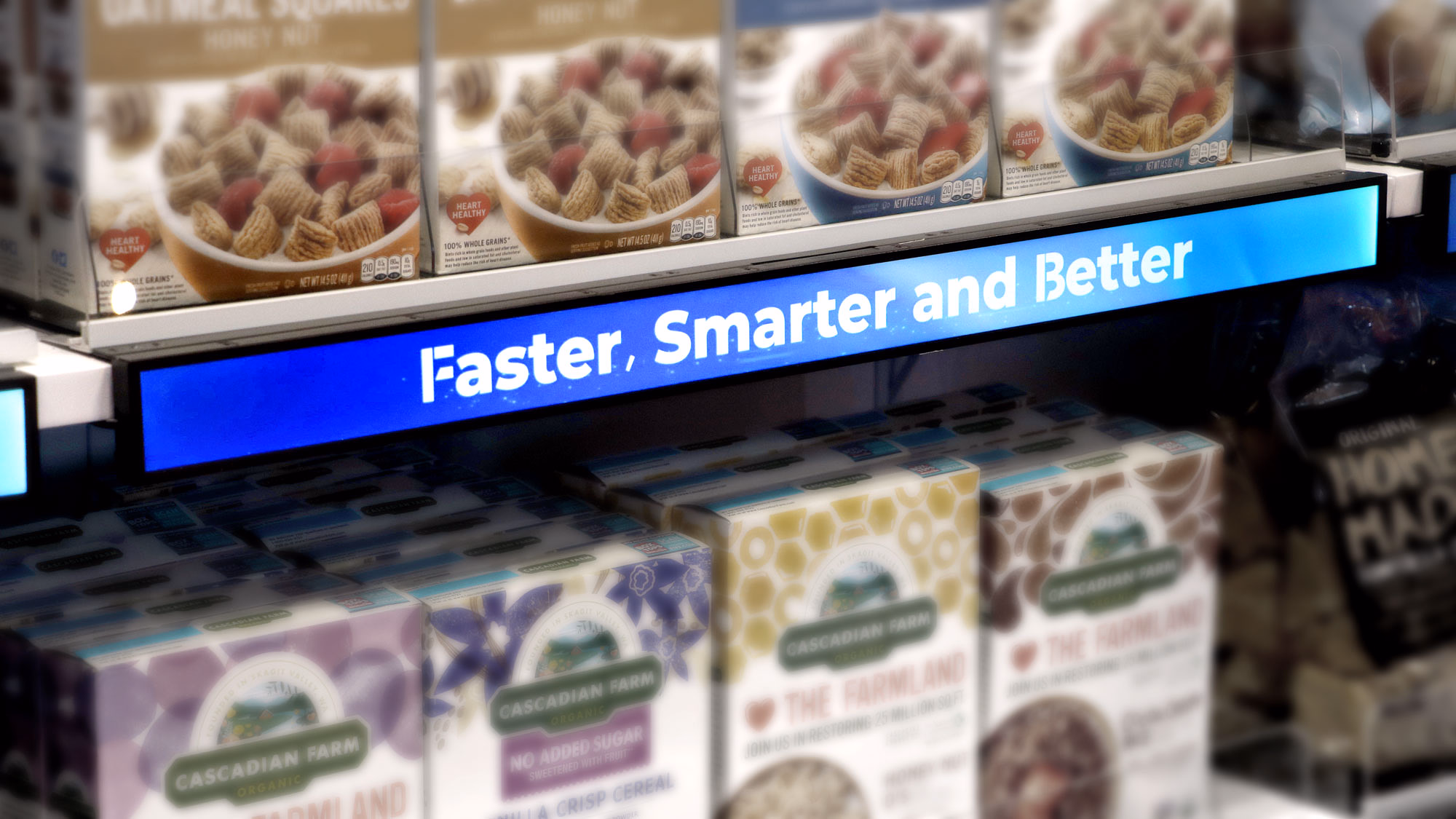 C86f19fe 12f0 11f1 b911 0242ac120002